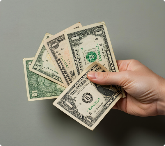 Various U.S. paper money notes and currency collection